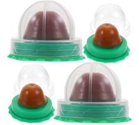 minkissy Hierba Gatera para Estimular el Hambre para Gatos y Gatitos 4 Piezas Piruletas Cubiertas Transparentes Bocadillos Saludables con Vitaminas y Promover la Digestión