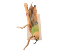 minkissy Modelo de Disección de Insectos Desmontable para Aula de Ciencias Estructura de Pvc y Observación Multiángulo para Aprendizaje de Biología