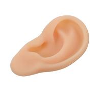 minkissy Modelo De Oreja De Silicona Presentación De Oído Para Acupuntura Precisa Distinción Oído y Derecho