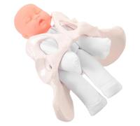 minkissy Modelo Miniatura Demostración Educativa Anatómico para Enseñanza de Parto de Pelvis con Articulación Funcional para Formación Científica