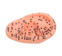 minkissy Parche de Masaje para Oídos Modelo de Simulación Realista Herramienta de Acupresión Auricular para Práctica de Medicina Kit de Aprendizaje para Zona de Puntos de Acupuntura