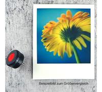 Mint Temporizador (SX70/SLR670/SLR680)