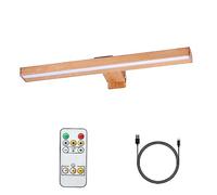 MIOBLUE Lámpara de imágenes inalámbrica con mando a distancia, lámpara de imágenes con mando a distancia, 16 pulgadas, recargable, iluminación de dardos, lámpara de pintura con 3 modos de iluminación