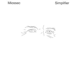 Miossec - Sony Music Entertainment France Simplifier [Vinilo]