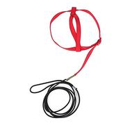 MiOYOOW Arnés volador para loros, cuerda de entrenamiento ajustable para loros voladores, portátil, para loros pequeños y medianos, periquitos, cacatúas