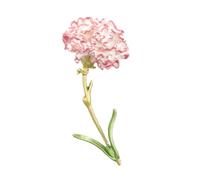 Mipcase Broche de Solapa Forma de Flor de Clavel Rosa, Clip Decorativo para Suéter y Cárdigan, Insignia Femenina de Aleación Esmalte, Accesorio para Ropa y Obsequio Original para Mujer