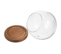 Mipcase Cúpula de Cristal con Base de Madera Rústica para Flores Preservadas, Vitrina Decorativa Esférica de 12 Cm, Micropaisaje para Hogar y Jardín, Cubierta Protectora Transparente