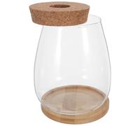 Mipcase Estación de Propagación de Plantas Hidropónicas 2 Unidades Grande de Vidrio con Tapón de Corcho y Bandeja de Bambú para Cultivo y Decoración Interior en Oficina y Hogar