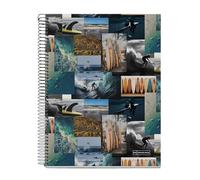 Miquelrius - Cuaderno A4, Cuadrícula 5 mm, Cuaderno tapa dura, Libreta A4 con 120 hojas microperforadas, Libreta A4 con 4 colores para organizar, Papel Extra Opaco 70 g/m², 4 taladros para archivar