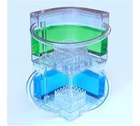 Mira a las hormigas cavar túneles - Kit de granja de hormigas(Blue+green)