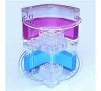 Mira a las hormigas cavar túneles - Kit de granja de hormigas(Blue+purple)
