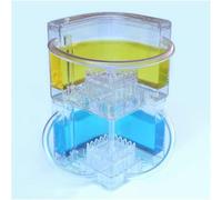 Mira a las hormigas cavar túneles - Kit de granja de hormigas(Blue+yellow)