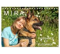 MIRA - PUISSANCE ET ÉLÉGANCE (Calendrier de bureau 2026 DIN A5 vertical), CALVENDO calendrier mensuel: Un amour de berger allemand