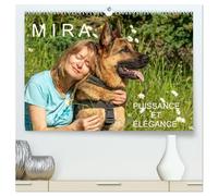 MIRA - PUISSANCE ET ÉLÉGANCE (Calendrier mural 2026 DIN A2 vertical) calendrier de bureau: Un amour de berger allemand