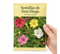 Mirabilis Jalapa Semillas DECOALIVE para Cultivo en Casa | Don Diego de Noche Variado con Flores de Colores Variados