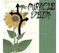 Miracle Debt - Under the Shadow [Vinilo]