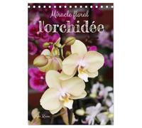 Miracle floral l'orchidée (Calendrier de bureau 2027 DIN A5 horizontal), CALVENDO calendrier mensuel: Les reines exotiques des plantes d'intérieur