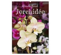 Miracle floral l'orchidée (Calendrier mural 2027 DIN A2 horizontal), CALVENDO calendrier mensuel: Les reines exotiques des plantes d'intérieur