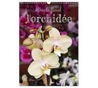 Miracle floral l'orchidée (Calendrier mural 2027 DIN A3 horizontal), CALVENDO calendrier mensuel: Les reines exotiques des plantes d'intérieur