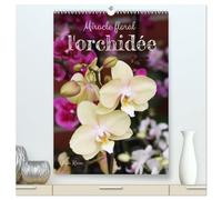 Miracle floral l'orchidée (Calendrier mural haut de gamme 2027 DIN A2 horizontal), CALVENDO calendrier mensuel: Les reines exotiques des plantes d'intérieur