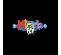 Miracle Fly (PC) Steam Key - GLOBAL