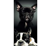 Miracle Home. Toalla Microfibra Bull Dog Triste, 100% Poliéster, 75 X 145 cm. 11756