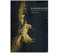 Mirada salvaje (GUIAS VARIAS ANIMALES)