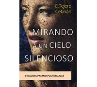 Mirando a un cielo silencioso: 32 (Última Línea de Narrativa)