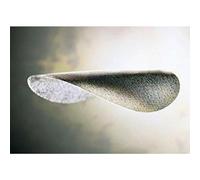 Mirka 1975042 Autonet - Disco de lija (mango de 150 mm, grano P150, grano de óxido de aluminio, adherencia: resina sobre resina), respaldo: red PA/red PES, revestimiento: cerrado - gris - el paquete