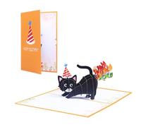MIRKUZI Tarjetas de felicitación Tarjeta de feliz cumpleaños 3D, tarjeta emergente 3D, gato de cumpleaños, arcoíris divertido, gato negro, niños, niño, niña, mamá, papá