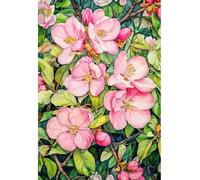 MIRONS 11CT Contados Punto de Cruz, Flores Kit de Bordado de Punto de Cruz con Estampado de Bricolaje Kits de Inicio para Principiantes Preimpresos de Línea Completa