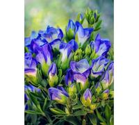 MIRONS 11CT Contados Punto de Cruz, Flores Kit de Bordado en Punto de Cruz con Estampado de Bricolaje, Gama Completa de Kits de Inicio Preimpresos para Principiantes