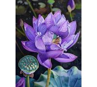 MIRONS Kit Completo de Punto de Cruz, Flores Kit de Punto de Cruz Estampado Kits de Costura de Gama Completa para Principiantes 11CT