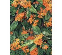 MIRONS Kit Punto de cruz 11CT tela estampada, Flores kit de bordado bricolaje entrada simple bordado previo a la impresión para niñas manualidades artículos bordado