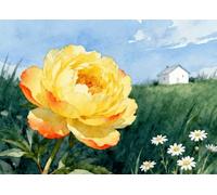 MIRONS Kits de Punto de Cruz Estampados, flores de peonía 11CT Kit de Bordado Punto de Cruz Contado, Gama Completa de Kits de Inicio de Bordado para Principiantes