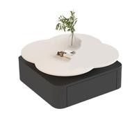 MIROOOO Mesa De Centro Mesa De Comedor Mesa de Centro con Placa Roca, Mesa Creativa for Sala Estar y hogar, té Cuadrada