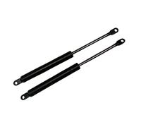 Miroytengo Juego AMORTIGUADORES de Gas para canapé abatible (900 Newton, 2)