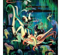 Mirror, Black Mirror Slipcase Edition: The Art of Camille Rose Garcia