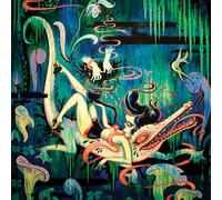 Mirror, Black Mirror: The Art of Camille Rose Garcia