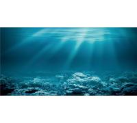 MIRRORANG 120x46cm Tema Submarino Fondo de Acuario Sol Mundo Submarino Póster de Tanque de Peces Telón de Fondo Fondo de Vinilo