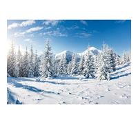 MIRRORANG 3x2,5m Pared de Navidad Fondo de Paisaje de Bosque de Invierno Escena de Nieve al Aire Libre Árbol de Pino Fondo de decoración de Pared congelada para fotografía Fondo de Foto de, Vinilo