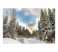 MIRRORANG 3x2m Nieve Invierno Fotografía Fondo Pinos Bosque Mundo Maravilloso Fondo por Recién Nacido Baby Shower Navidad Año Nuevo Partido Decoración Bandera Retrato Foto Puesto Accesorios, Vinilo