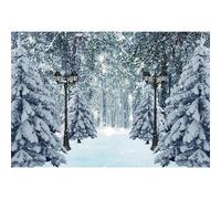 MIRRORANG 4,5x3m Paisaje De Invierno Telones De Fondo Camino del Bosque De Navidad Streetlamp Wonderland Cayendo Copo De Nieve Árbol Cubierto De Nieve Fiesta Fotografía Fondos Banner, Vinilo