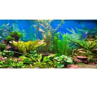 MIRRORANG 61x30cm Fondo de Acuario Planta Acuática Cama de río & Lago Peces Tanque Cartel telón de Fondo de Vinilo