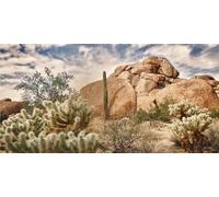 MIRRORANG 61x30cm Fondo de terrario de Vinilo Duradero Cielo Azul Rocky Enorme Cactus Gobi Sol y Desierto Fondo de hábitat de Reptiles