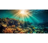 MIRRORANG 61x30cm Tema Submarino Tanque de Peces Fondo de Acuario Sol Arrecife de Coral Mundo Submarino Tanque de Peces póster telón de Fondo