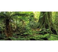 MIRRORANG 76x30cm Fondo de terrario Forestal Piedra Verde Árbol Enorme Reptil Fondo de hábitat Selva Tropical Fondo de Acuario Vinilo