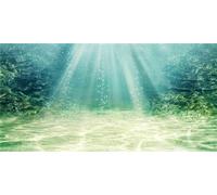 MIRRORANG 91x41cm Fondo de Acuario Planta acuática Burbuja submarina océano Piso Tanque de Peces póster telón de Fondo Fondo de Vinilo