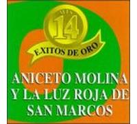 Mis 14 Exitos De Oro