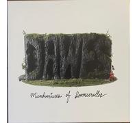 Misadventures Of Doomscroller [Vinilo]
